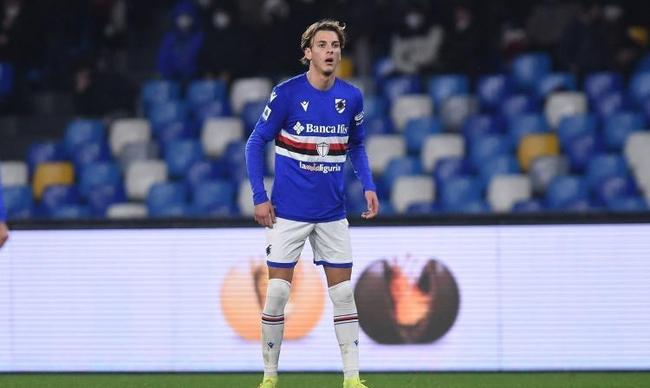 的学位改革 的学位改革