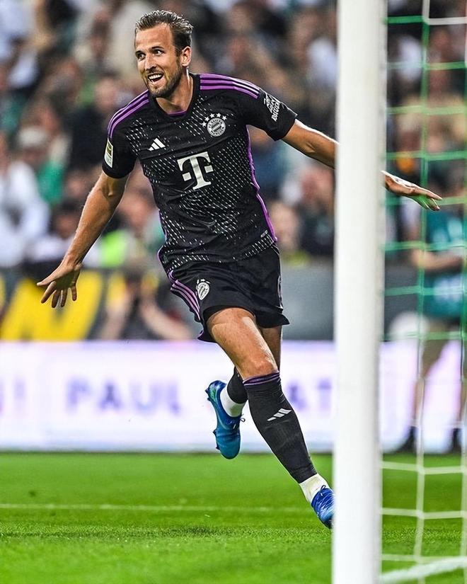 分析指出 分析指出